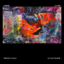Load image into Gallery viewer, BICEP - CHROMA 000
