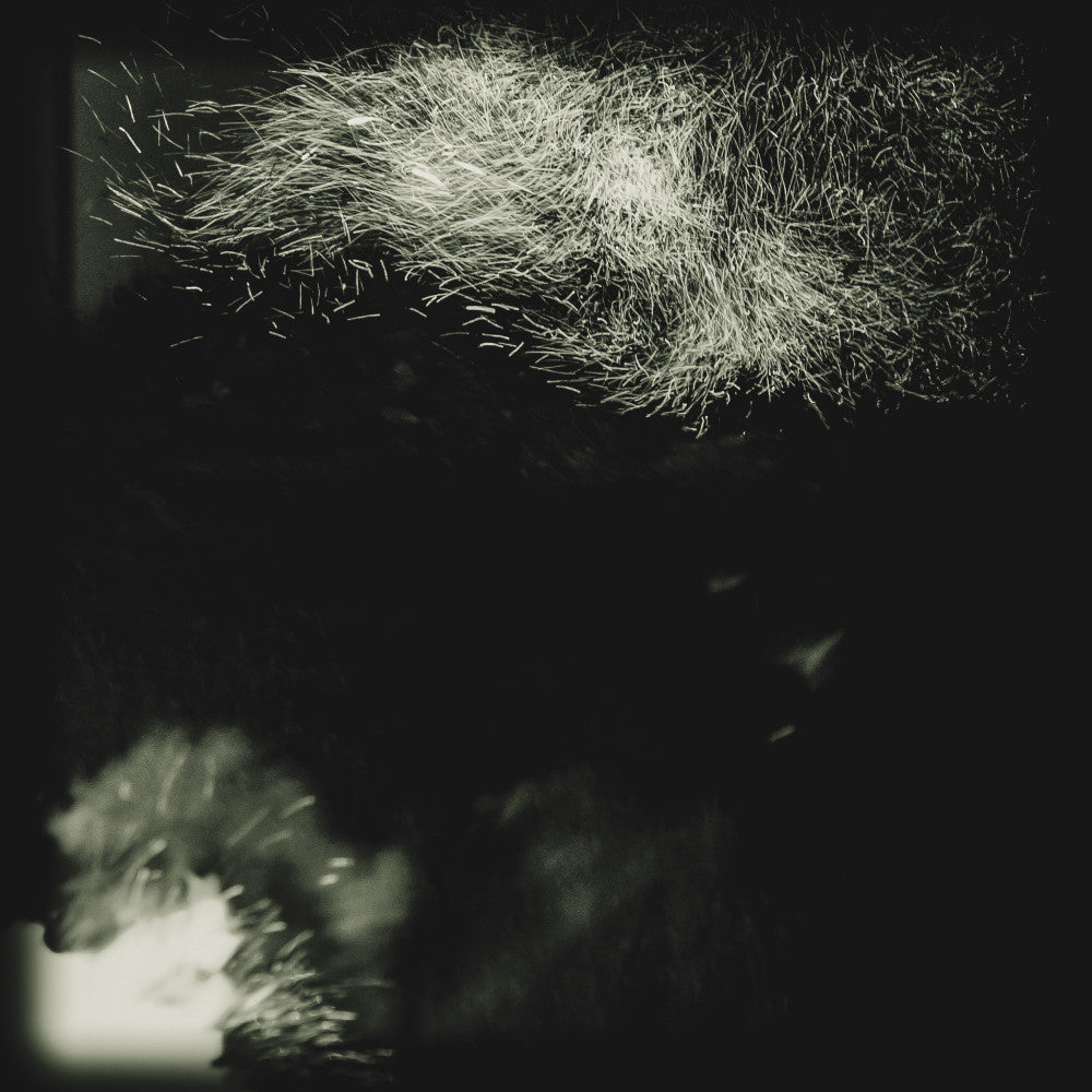 Fink - Fall Into The Light / Pilgrim