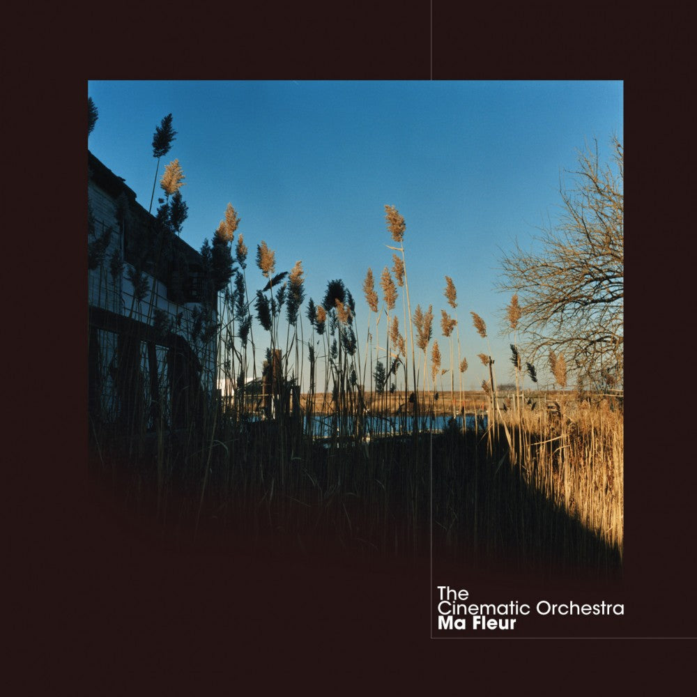 The Cinematic Orchestra - Ma Fleur – Ninja Tune